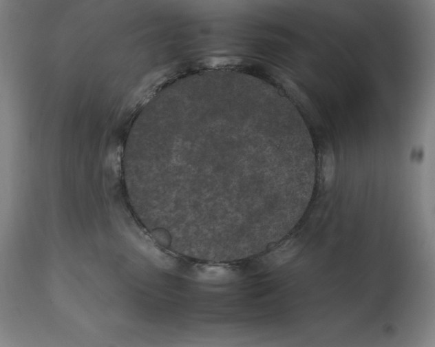 X0000111150475200907211207