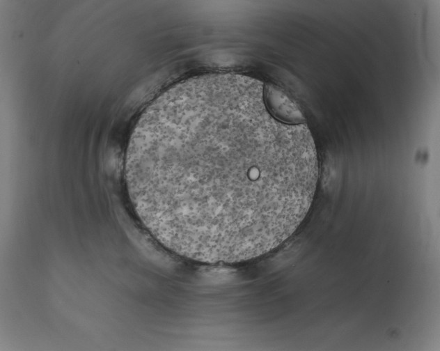 X0000111150476200907211207