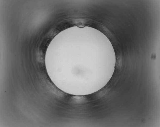 X0000111150477200907211207