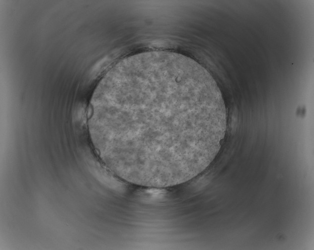 X0000111150478200907211207