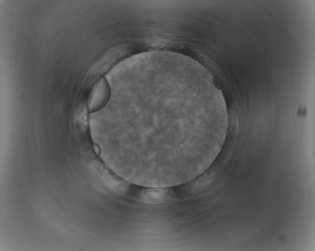 X0000111150479200907211207