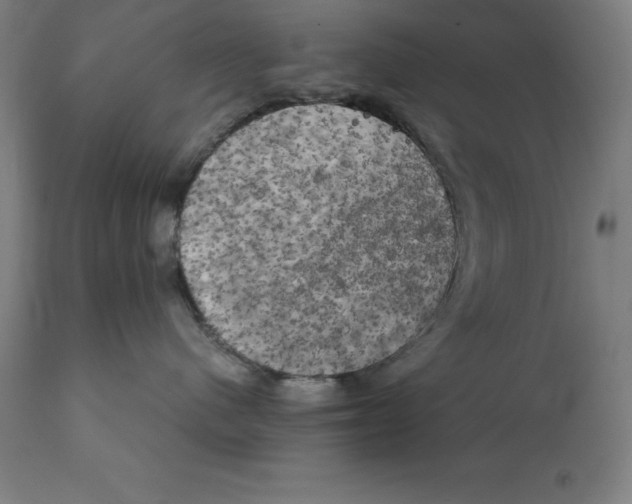 X0000111150480200907211207