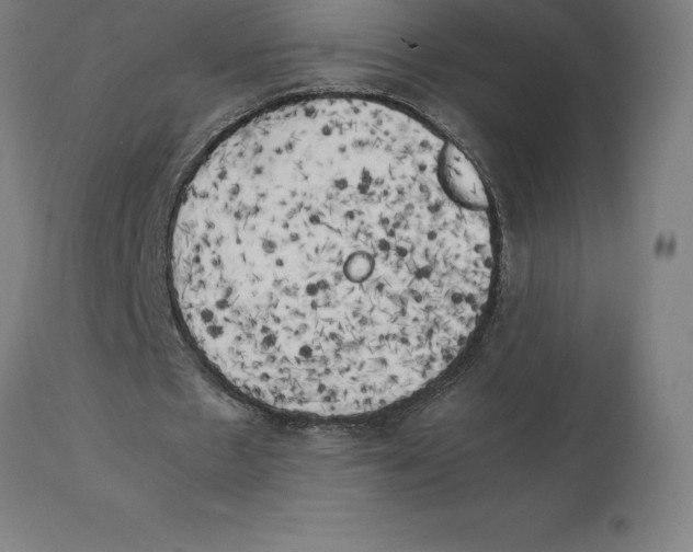 X0000111150481200907211207