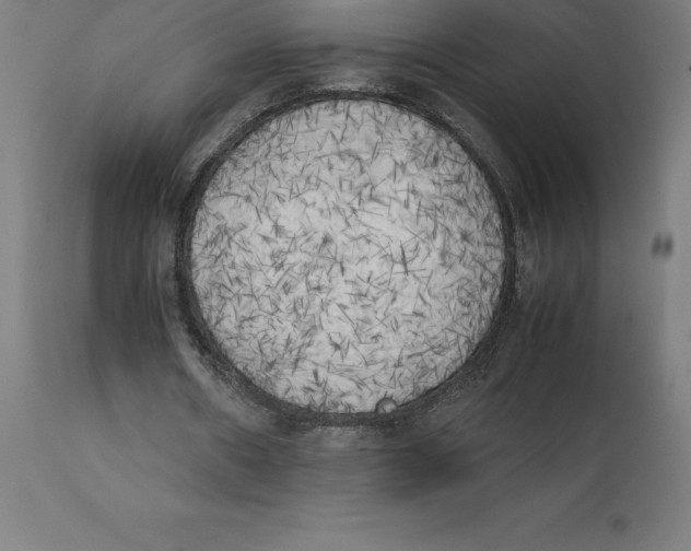 X0000111150482200907211207