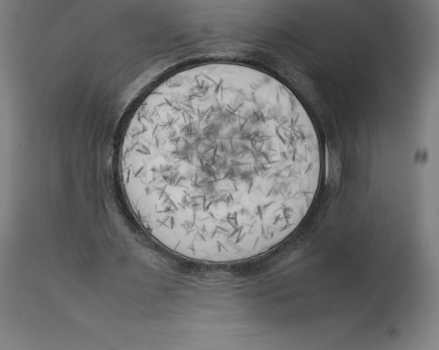 X0000111150483200907211206