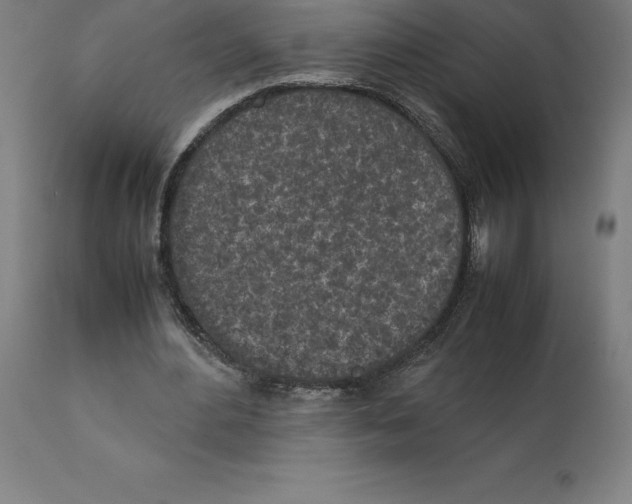 X0000111150484200907211206