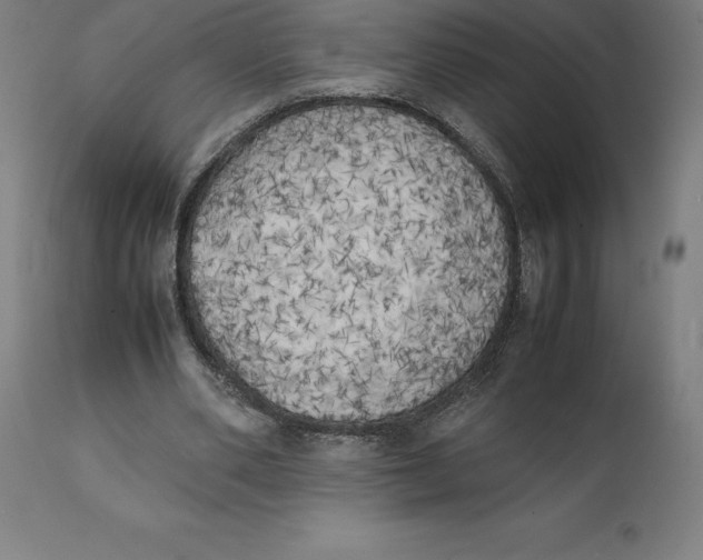 X0000111150486200907211206