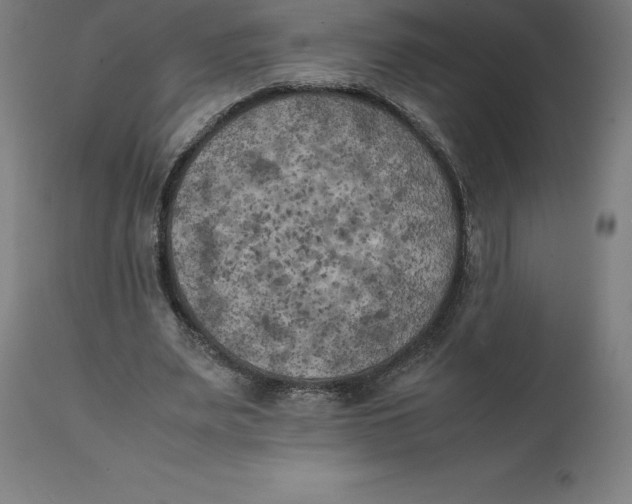 X0000111150487200907211206