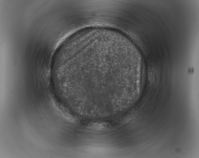 X0000111150488200907211206