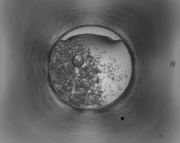 X0000111150489200907211206