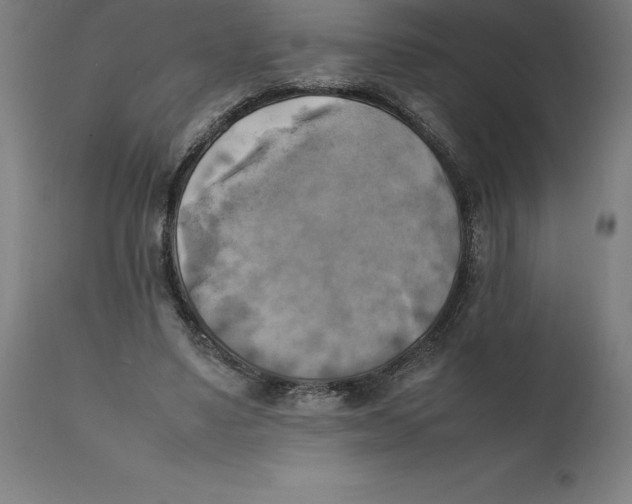 X0000111150491200907211206