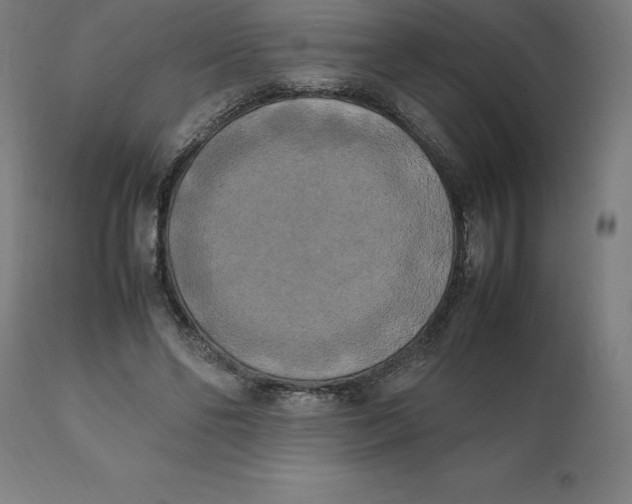 X0000111150494200907211206