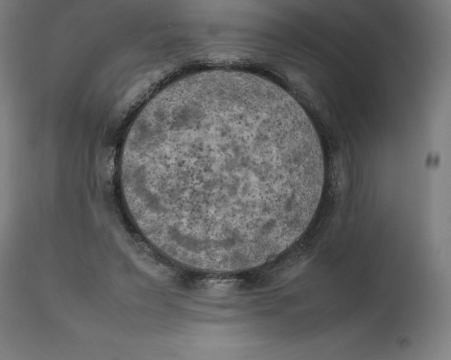 X0000111150495200907211206