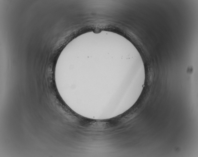 X0000111150497200907211206