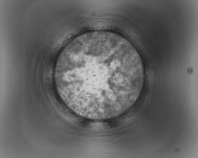 X0000111150499200907211206