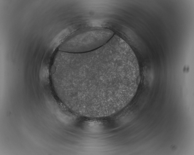 X0000111150500200907211206