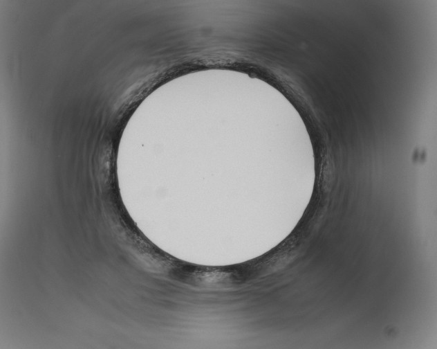 X0000111150501200907211206