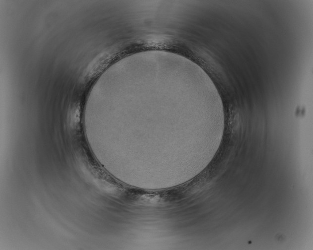 X0000111150502200907211206