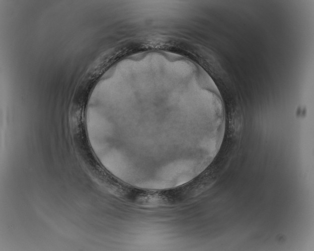 X0000111150503200907211206