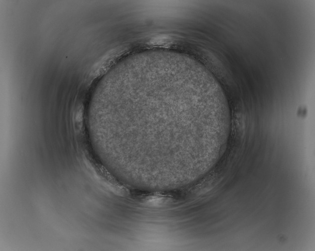 X0000111150504200907211206