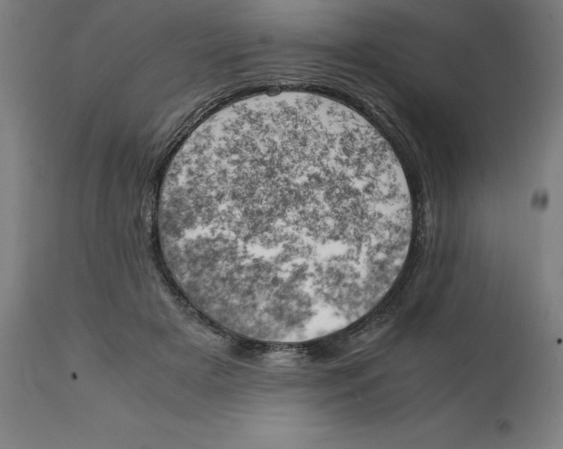 X0000111150505200907211206