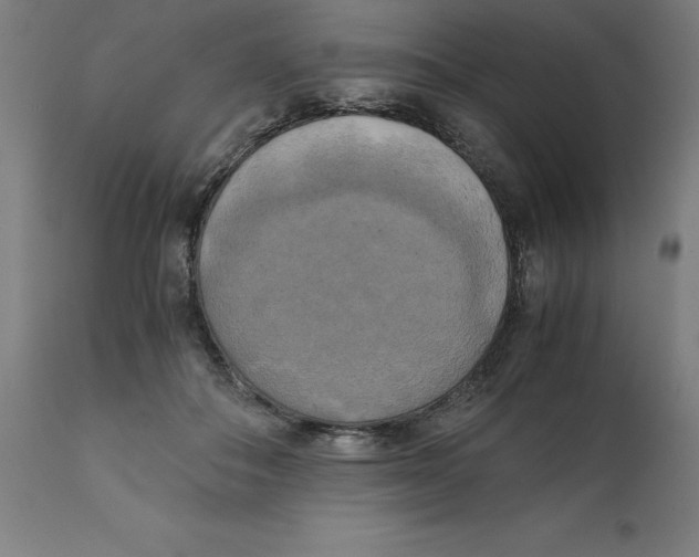 X0000111150506200907211206