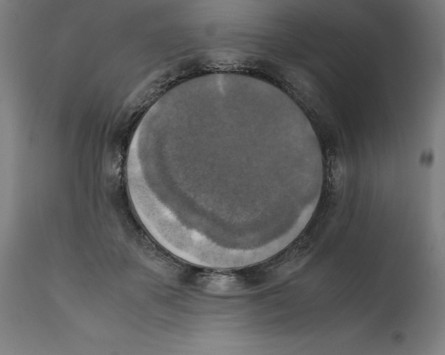 X0000111150507200907211206