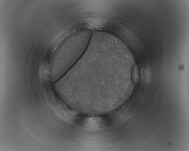 X0000111150508200907211206