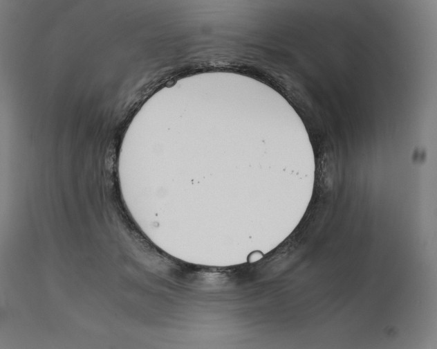 X0000111150509200907211206