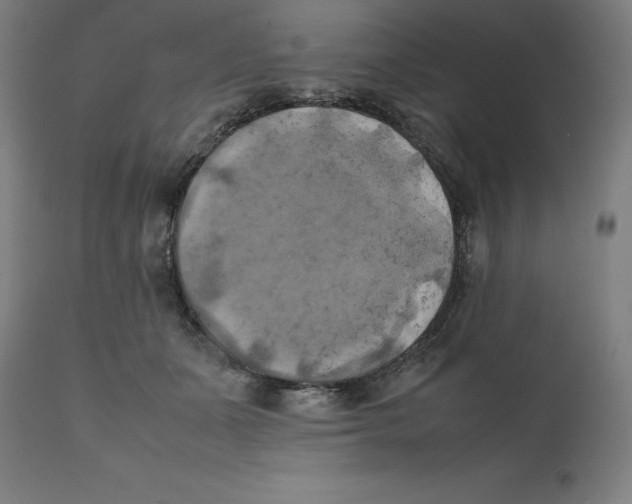 X0000111150511200907211206