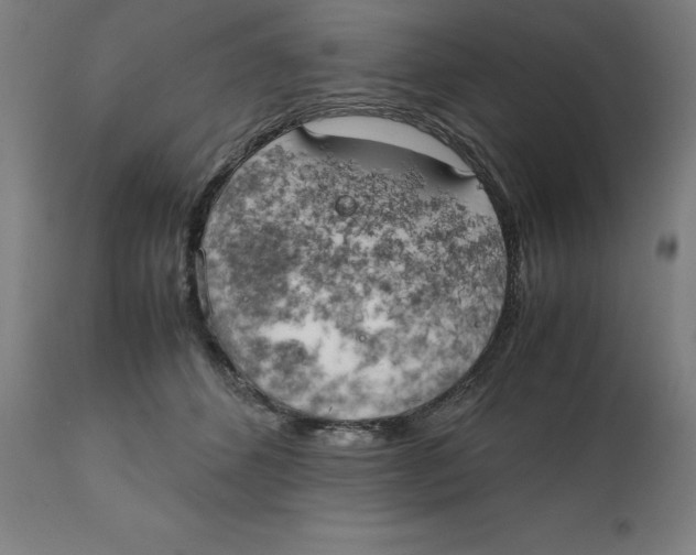 X0000111150512200907211206