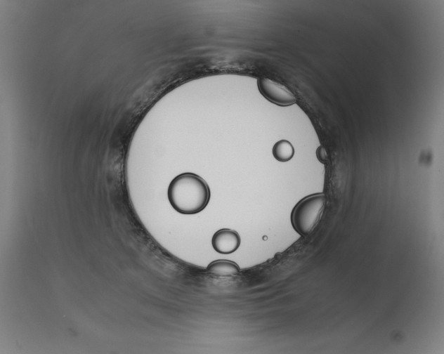 X0000111150513200907211206