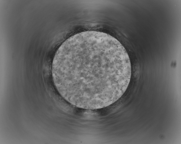 X0000111150515200907211206