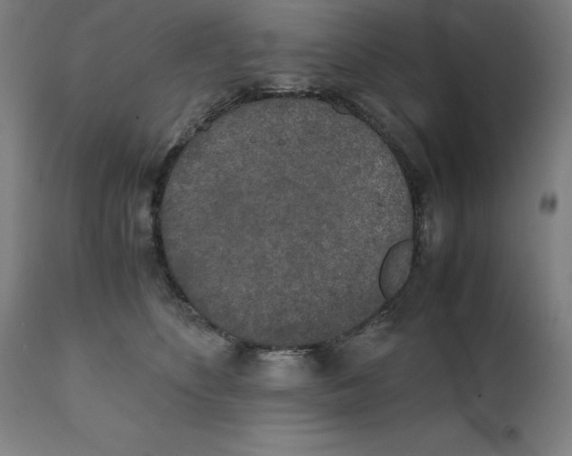 X0000111150516200907211206