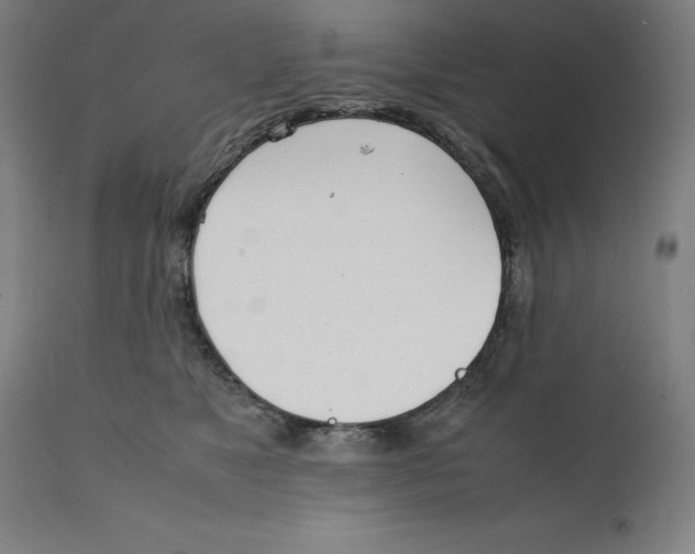 X0000111150517200907211206