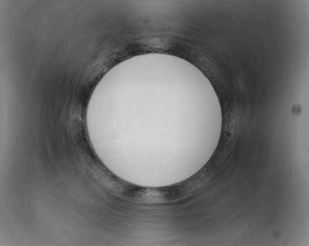 X0000111150518200907211206