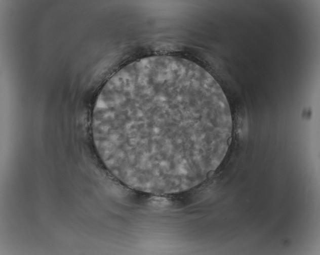 X0000111150519200907211206