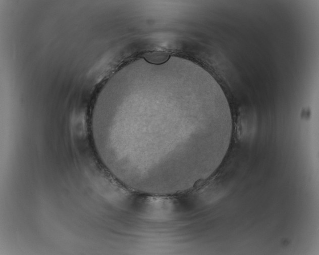 X0000111150520200907211206