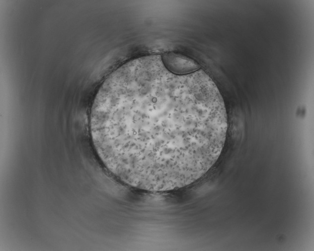 X0000111150523200907211206