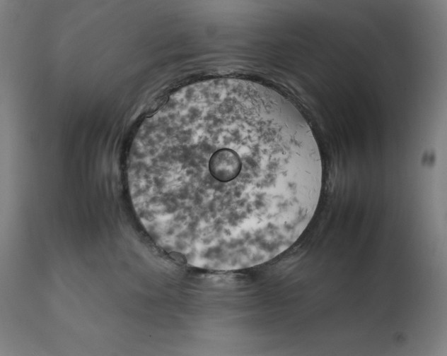 X0000111150524200907211206