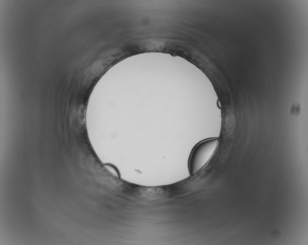 X0000111150525200907211206