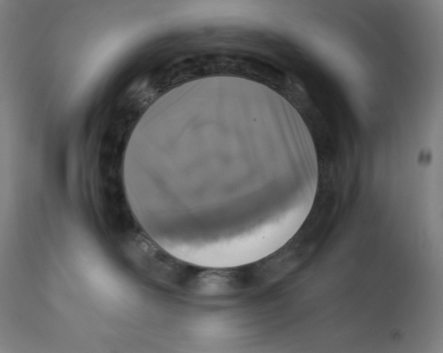 X0000111150526200907211206