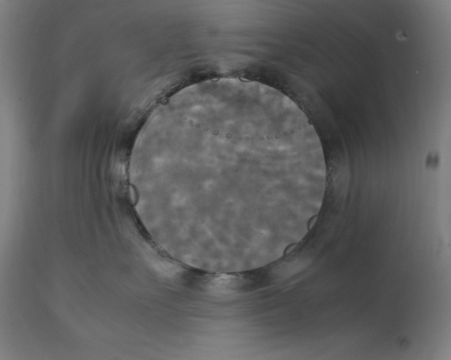 X0000111150527200907211206