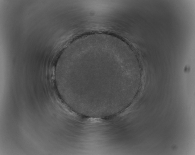 X0000111150528200907211206