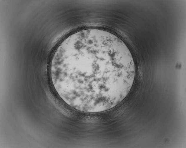 X0000111150535200907211205