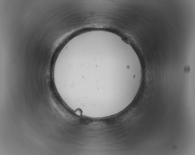 X0000111150536200907211205