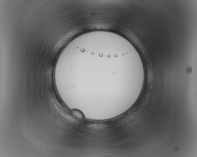 X0000111150537200907211205