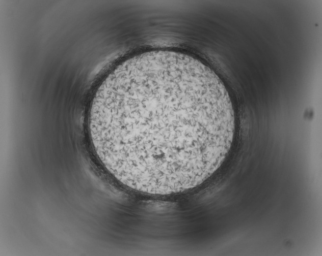 X0000111150539200907211205