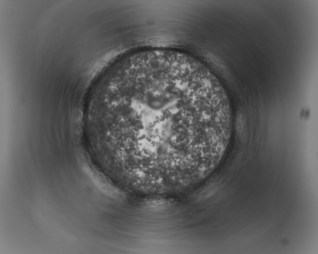 X0000111150540200907211205