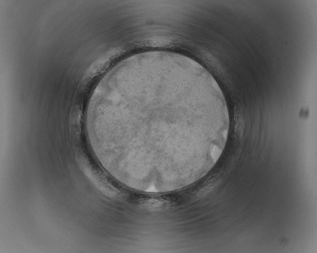 X0000111150542200907211205